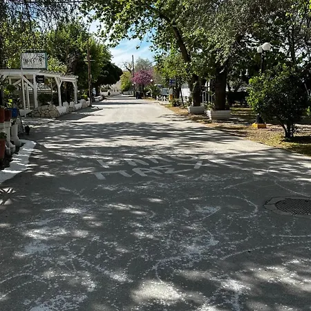 Steven إليوناس